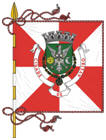 Bandeira de Aveiro