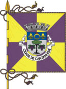 Bandeira de Cantanhede