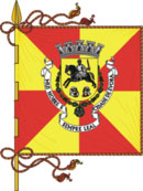 Bandeira de Évora
