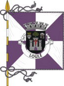 Bandeira de Loulé