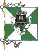 Bandeira de Mirandela