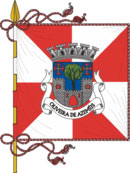 Bandeira de Oliveira de Azeméis