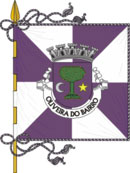 Bandeira de Oliveira do Bairro