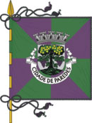 Bandeira de Paredes