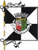 Bandeira de São João da Madeira