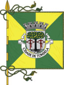 Bandeira de Tondela