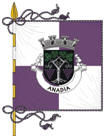 Bandeira de Anadia