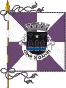 Bandeira de Gouveia