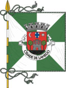 Bandeira de Lamego