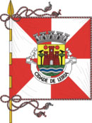 Bandeira de Leiria