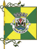 Bandeira de Montijo