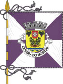 Bandeira de Oliveira do Hospital
