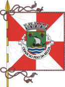 Bandeira de Peso da Régua