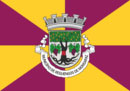 Bandeira de Reguengos de Monsaraz