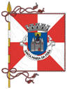 Bandeira de Santa Maria da Feira