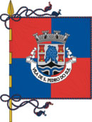 Bandeira de São Pedro do Sul