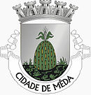 Brasão do município de Meda
