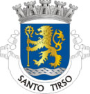 Braso do municpio de Santo Tirso