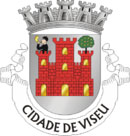 Braso do municpio de Viseu