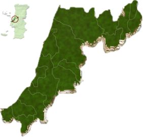 Mapa do Distrito de Leiria Portugal