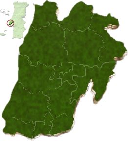 Resultado de imagem para mapa dos distritos mais perto de lisboa