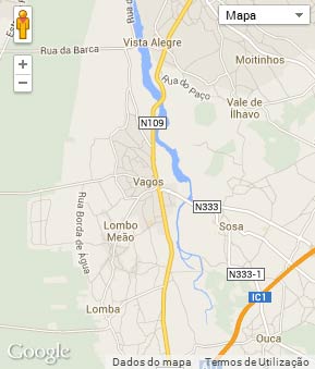Mapa do município de Vagos